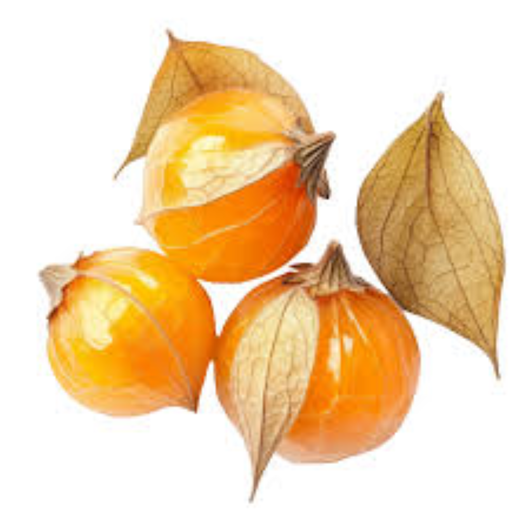 ECO CAPE GOOSEBERRY & GINGER 